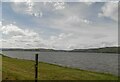 NH5859 : Cromarty Firth at Balloan by Douglas Nelson