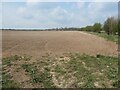 SE9260 : Chalky field, south-west of Sledmere Field Farm by Christine Johnstone