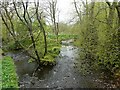 NS5475 : Confluence of the Allander Water and Craigton Burn by Richard Sutcliffe