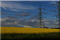 TM2853 : View north towards the pylon lines, Byng Lane by Christopher Hilton