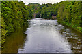 NZ2742 : River Wear, Durham by David Dixon