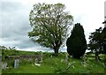 SO7931 : St John the Baptist, Eldersfield: churchyard (ii) by Basher Eyre