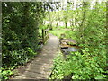 TG2635 : Bridge over Stream. Southrepps Nature Reserve by David Pashley