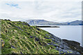 NM8746 : Grass and rocks at end of promontory by Trevor Littlewood