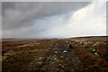 NY8905 : The Pennine Way heading north towards the Tan Hill by Andy Waddington