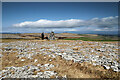 NY6509 : Cairn in Great Asby Scar NNR by Andy Waddington