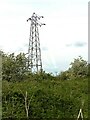 SK6440 : Electricity pylon near Stoke Lock by Alan Murray-Rust