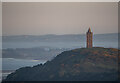 J4772 : Scrabo Tower by Rossographer