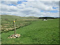 NS7911 : Southern Upland Way marker post near the Loch Burn by Alan O'Dowd