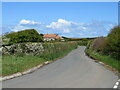 NZ8610 : Cliff Lane, near Whitby by Malc McDonald