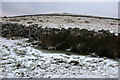 SX7374 : Wall, Pudsham Down by Derek Harper