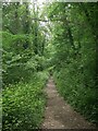 SS8979 : Path in woodland at Craig-y-Parcau Local Nature Reserve, Bridgend by eswales