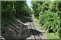 SU0731 : Railway cutting at North Burcombe by David Martin