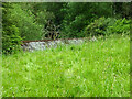 SO8201 : The roof of the kennels, Woodchester Park by Chris Allen