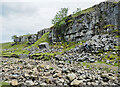 NY8436 : Clints Crags by Trevor Littlewood