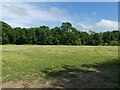 TG3124 : Mown  hay field by David Pashley