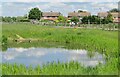 TL1860 : St Neots - Lammas Meadow by Colin Smith