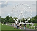 TL4558 : Cambridge - Ferris Wheel by Colin Smith