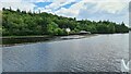 NH6139 : Weir on River Ness by Chris Morgan