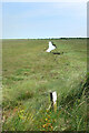 TR3462 : Salt Marsh, Stour Estuary by Des Blenkinsopp