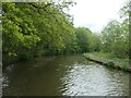 SD5407 : The Leeds & Liverpool canal at Crooke Wood by Christine Johnstone