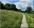 SO4382 : Path through the Onny Meadows by Mat Fascione