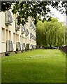 NS5468 : Balconies and weeping willow by Richard Sutcliffe