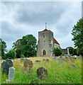 TQ1711 : Steyning Parish church by PAUL FARMER