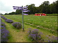 TQ2761 : Signpost and train at Mayfield Lavender Farm (1) by David Hillas