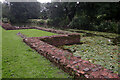 SK5204 : Kirby Muxloe Castle - the moat by Stephen McKay