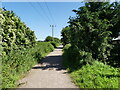 TG3625 : Weavers Way heading towards Stalham by David Pashley