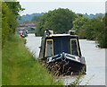 SJ6447 : Narrowboat moored along the Shropshire Union Canal by Mat Fascione