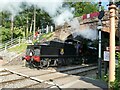 ST1629 : Steaming under the bridge at Bishops Lydeard by Stephen Craven