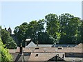 SS9943 : Dunster roofscape by Stephen Craven