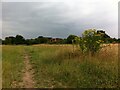 SP3386 : Site of Newdigate Colliery, looking towards Arbury Lane and modern housing beyond by A J Paxton