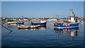 J5980 : Boats, Donaghadee Harbour by Rossographer