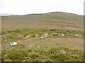 NM5939 : Beinn Bhuidhe summit by Richard Webb