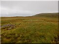 NM5840 : Moor grass, Beinn Bhuidhe by Richard Webb