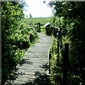 ST4286 : A board walk, Magor Marsh by Robin Drayton