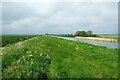 TL4784 : Beside Hundred Foot Drain by Jeff Buck