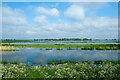 TL4785 : The Ouse Washes near Oxlode by Jeff Buck