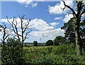 NZ1749 : Looking south from Tower Road by Robert Graham