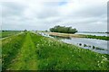 TL4885 : Hundred Foot Bank and the New Bedford River by Jeff Buck