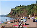 SX9371 : Shaldon - Ness Cove by Colin Smith