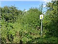 SK5039 : Danger sign on the old Nottingham Canal by Alan Murray-Rust