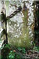  : Benchmark on gatepost at gateway into conifer plantation at Ladyrigg Farm by Roger Templeman