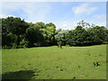 SK9301 : Grass field in the centre of South Luffenham by Jonathan Thacker