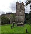 SO8000 : Church of St Bartholomew, Nympsfield, Gloucestershire by Jaggery