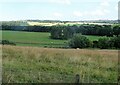 NZ1448 : Looking across the fields near Low Meadows by Robert Graham