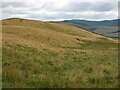 NT2341 : Hillside below the Hamilton Hill mast by Jim Barton